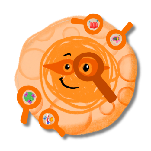 Planet SPOT-it Mission Launchpad Programme Emotional Literacy Emotional Regulation by Exciting Teacher and The Scribbles Crew 2026